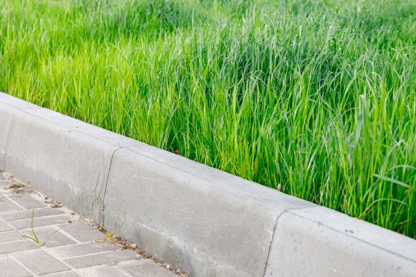 Cost of Curb Removal in Murrieta